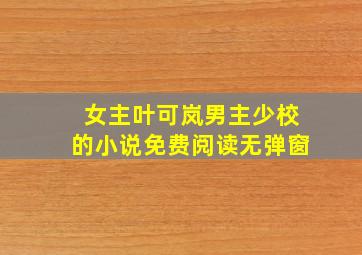 女主叶可岚男主少校的小说免费阅读无弹窗