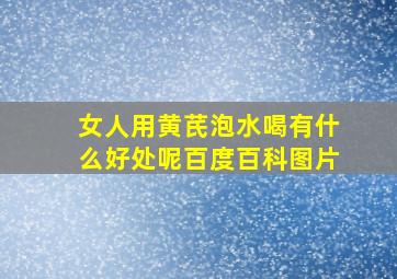 女人用黄芪泡水喝有什么好处呢百度百科图片