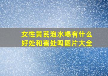 女性黄芪泡水喝有什么好处和害处吗图片大全