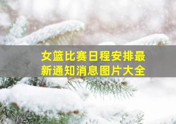 女篮比赛日程安排最新通知消息图片大全