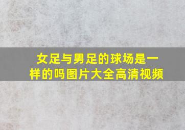 女足与男足的球场是一样的吗图片大全高清视频