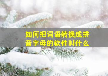 如何把词语转换成拼音字母的软件叫什么