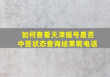 如何查看天津摇号是否中签状态查询结果呢电话