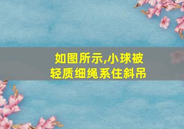 如图所示,小球被轻质细绳系住斜吊