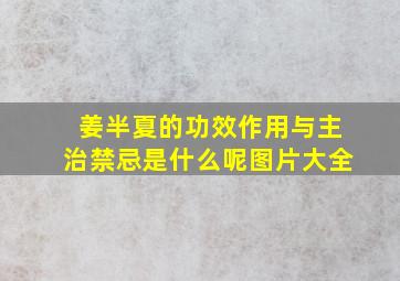 姜半夏的功效作用与主治禁忌是什么呢图片大全