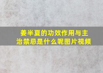 姜半夏的功效作用与主治禁忌是什么呢图片视频