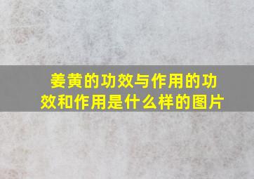 姜黄的功效与作用的功效和作用是什么样的图片