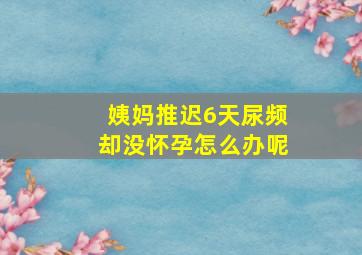 姨妈推迟6天尿频却没怀孕怎么办呢