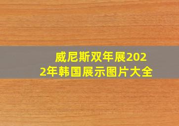 威尼斯双年展2022年韩国展示图片大全