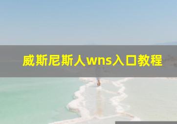 威斯尼斯人wns入口教程