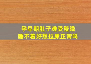 孕早期肚子难受整晚睡不着好想拉屎正常吗