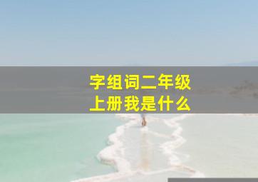 字组词二年级上册我是什么