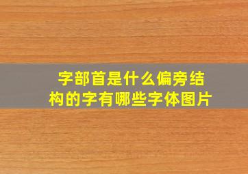 字部首是什么偏旁结构的字有哪些字体图片