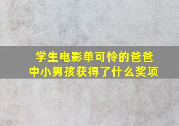 学生电影单可怜的爸爸中小男孩获得了什么奖项