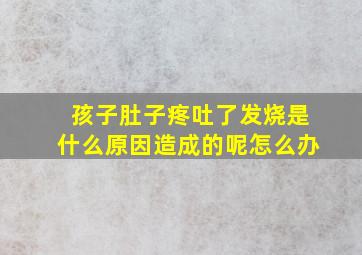 孩子肚子疼吐了发烧是什么原因造成的呢怎么办