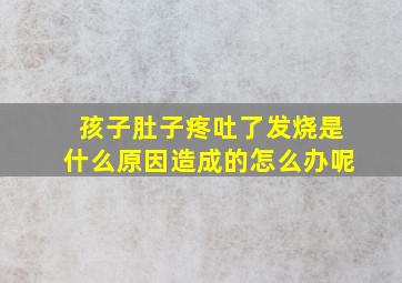 孩子肚子疼吐了发烧是什么原因造成的怎么办呢