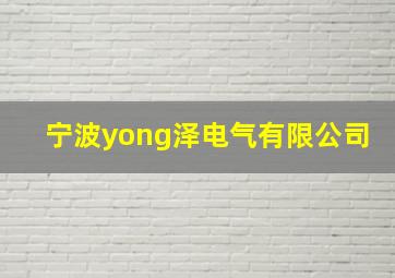 宁波yong泽电气有限公司