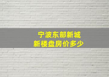 宁波东部新城新楼盘房价多少