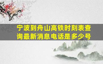 宁波到舟山高铁时刻表查询最新消息电话是多少号