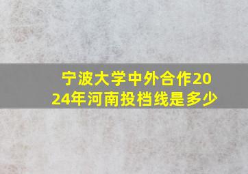 宁波大学中外合作2024年河南投档线是多少