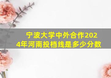 宁波大学中外合作2024年河南投档线是多少分数