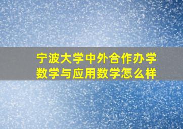 宁波大学中外合作办学数学与应用数学怎么样