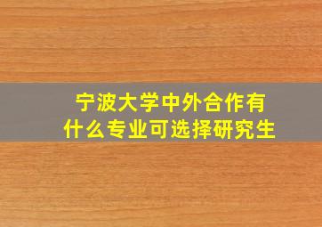 宁波大学中外合作有什么专业可选择研究生