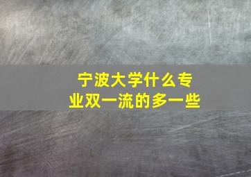 宁波大学什么专业双一流的多一些