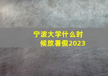 宁波大学什么时候放暑假2023