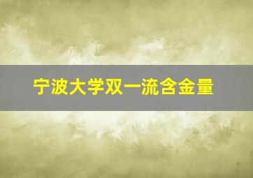 宁波大学双一流含金量