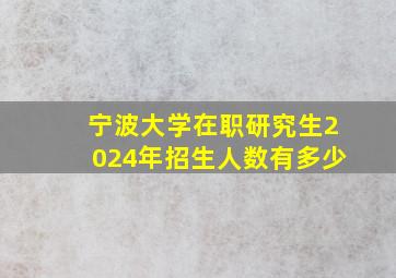 宁波大学在职研究生2024年招生人数有多少