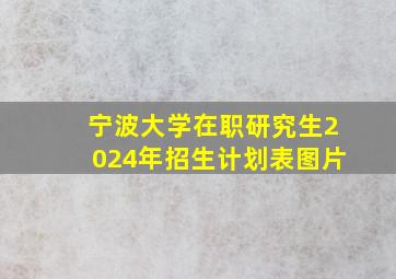 宁波大学在职研究生2024年招生计划表图片