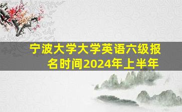 宁波大学大学英语六级报名时间2024年上半年