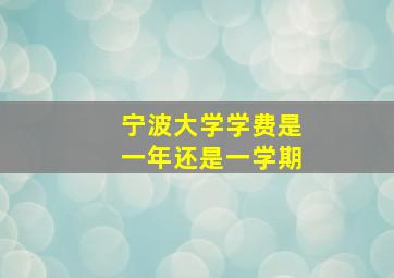 宁波大学学费是一年还是一学期