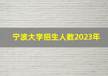 宁波大学招生人数2023年