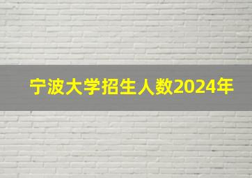 宁波大学招生人数2024年