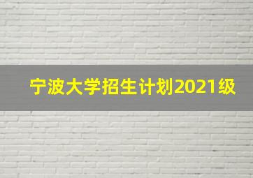 宁波大学招生计划2021级