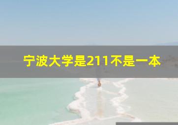 宁波大学是211不是一本