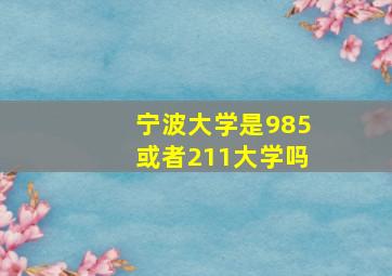 宁波大学是985或者211大学吗