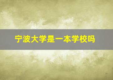 宁波大学是一本学校吗