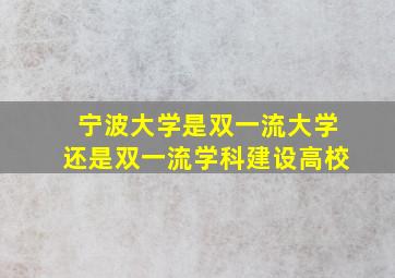 宁波大学是双一流大学还是双一流学科建设高校