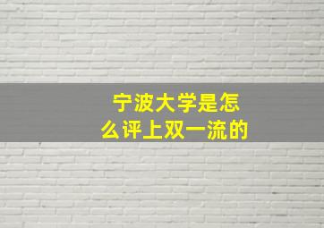 宁波大学是怎么评上双一流的