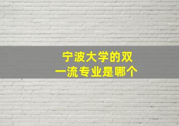 宁波大学的双一流专业是哪个