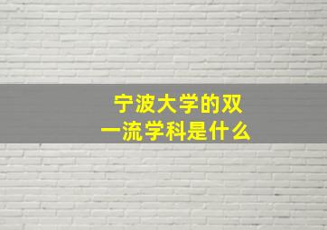 宁波大学的双一流学科是什么