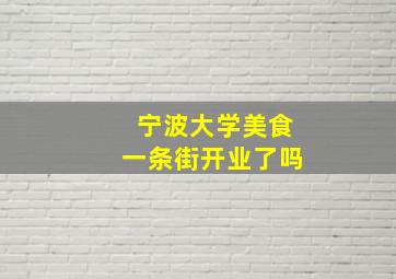 宁波大学美食一条街开业了吗