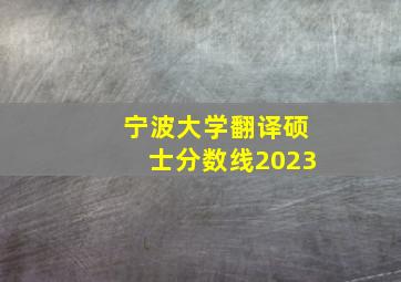 宁波大学翻译硕士分数线2023