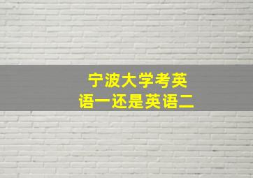 宁波大学考英语一还是英语二