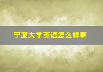 宁波大学英语怎么样啊