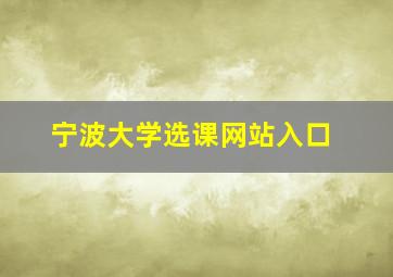 宁波大学选课网站入口