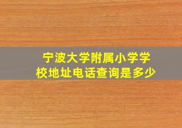 宁波大学附属小学学校地址电话查询是多少